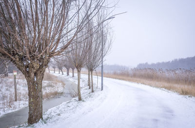 Bare trees on snow covered field against sky