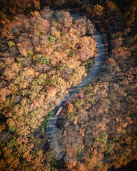 High angle view of road amidst trees in forest