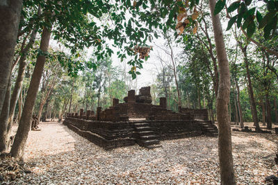 View of temple amidst trees in forest