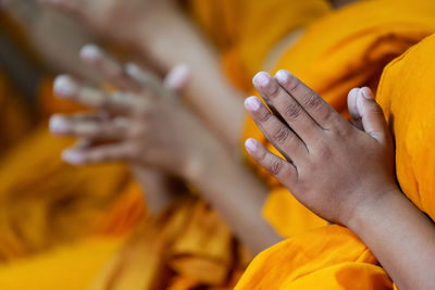 Close-up of woman hand on yellow flower