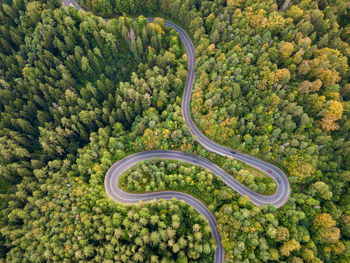 Aerial view of winding road in high mountain pass trough dense green pine woods.