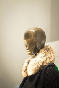 Fur and jacket displayed on mannequin in store