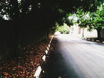 Road passing through trees