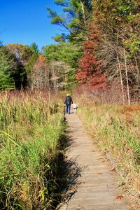 Rear view of people walking on footpath amidst trees during autumn