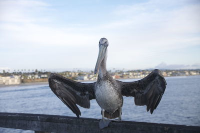 Close-up of bird on railing by sea against sky