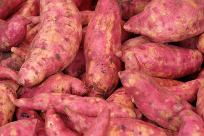 Pile of sweet potato in the morning market of chai nat, thailand