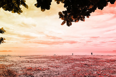 Silhouette tree by sea against orange sky