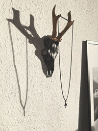 Shadow of hanging on wall