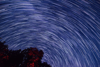 Low angle view of star field against sky at night