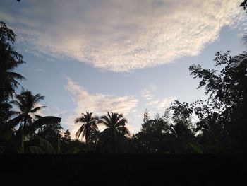 Silhouette palm trees on field against sky at sunset