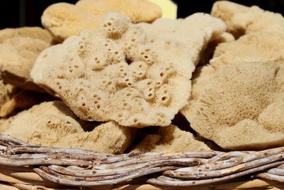 Close-up of sponge in basket