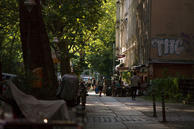 Street by trees in city
