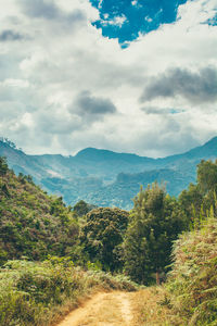 Scenic view of landscape against sky