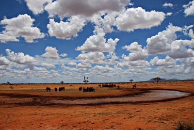 Scenic view of landscape against sky