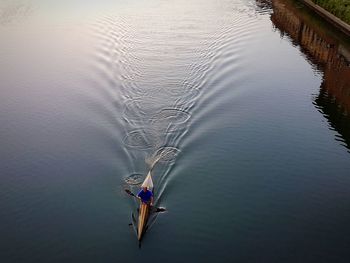 High angle view of man sculling in lake