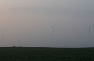 Scenic view of rural landscape