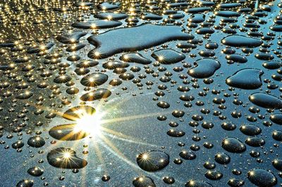 High angle view of water drops on car hood