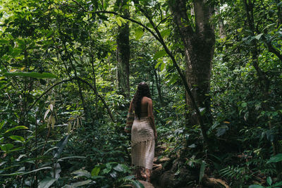 Rear view of woman standing in forest