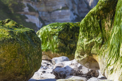 Close-up of stones on rock