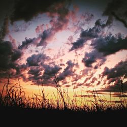 Silhouette of grass against sky during sunset