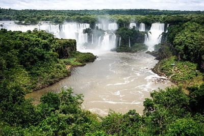 View of waterfall along trees