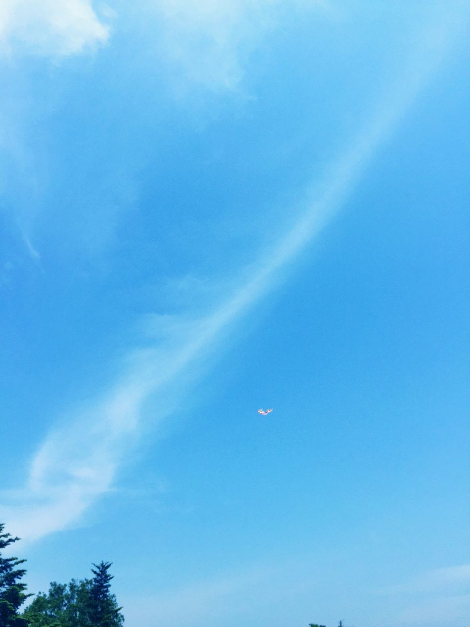 low angle view, blue, sky, flying, cloud - sky, mid-air, beauty in nature, nature, tranquility, scenics, vapor trail, tree, day, cloud, outdoors, tranquil scene, no people, transportation, idyllic, sunlight