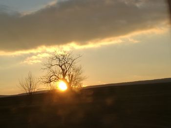 Silhouette of bare tree against sky during sunset