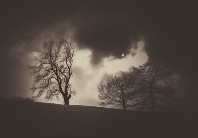 Low angle view of bare trees against sky