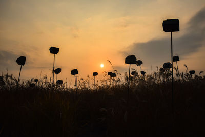 Low angle view of silhouette plants on field against sky during sunset