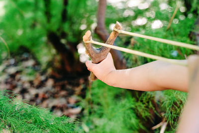 Midsection of person holding plant