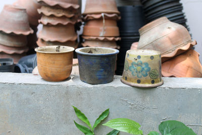 Close-up of flower pots on wall