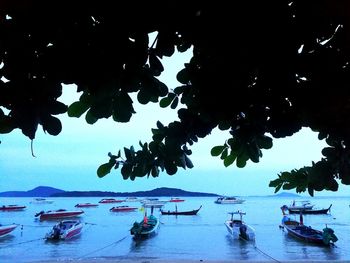 Silhouette boats moored in sea against sky