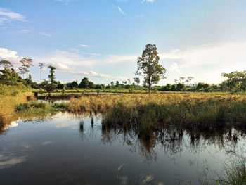 Scenic view of lake against sky