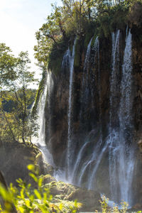 Scenic view of waterfall in forest