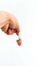 Hand holding strawberry over white background