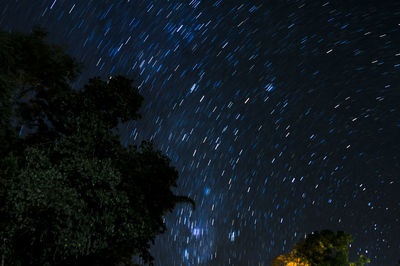 Low angle view of trees against sky at night