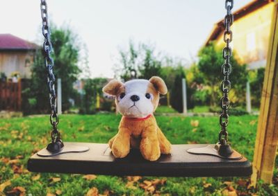 Close-up of toy on swing in park