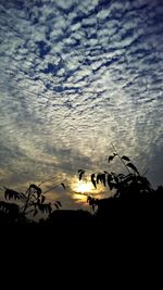 Silhouette birds against sky during sunset