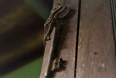 Close-up of rusty metal on wood