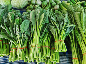 Pile of tied fresh green vegetables for sale at market stall