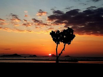 Silhouette tree by sea against sky during sunset