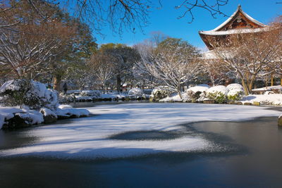 winter