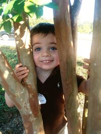 Portrait of happy boy standing on tree trunk