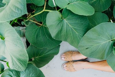 Low section of woman standing by plants at park