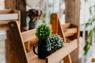 Close-up of plant with container in wooden tray on table