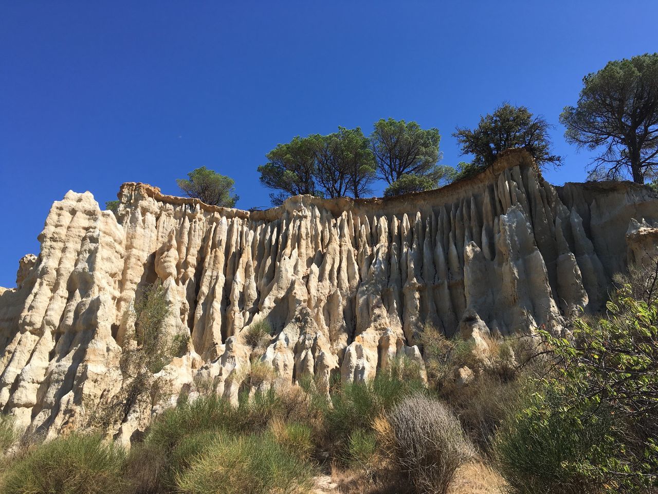 clear sky, tree, blue, tranquility, tranquil scene, beauty in nature, scenics, nature, geology, rock formation, physical geography, growth, day, plant, non-urban scene, outdoors, remote, eroded, majestic, natural landmark, cliff, land feature, green color, no people, national park, rock face