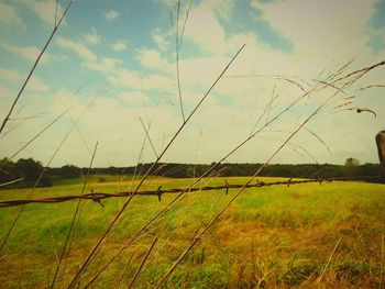 Scenic view of grassy field against cloudy sky