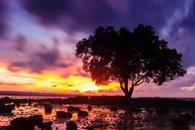 Silhouette tree by sea against sky during sunset