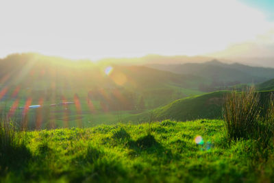 Scenic view of landscape against sky
