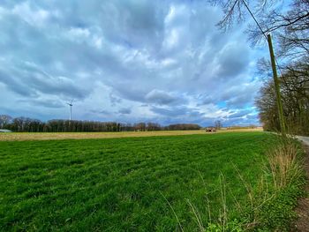 Scenic view of field against sky
